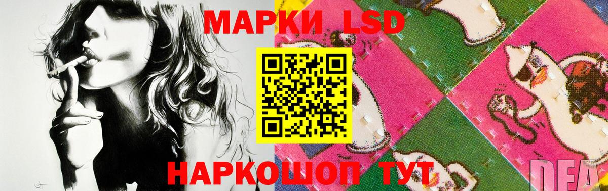 ЛСД экстази кислота  Вход с VPN  Нижнекамск  ЛСД экстази  ЛСД экстази кислота 